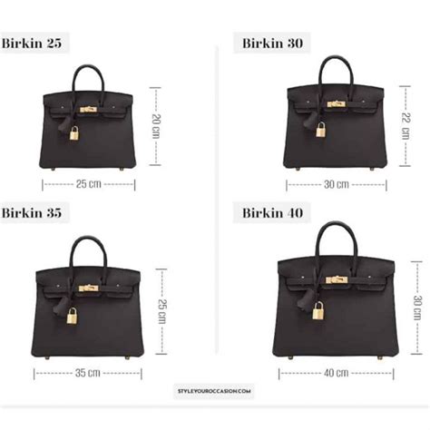 borsa evelyne hermes misure|hermes evelyne birkin.